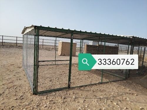 فقص