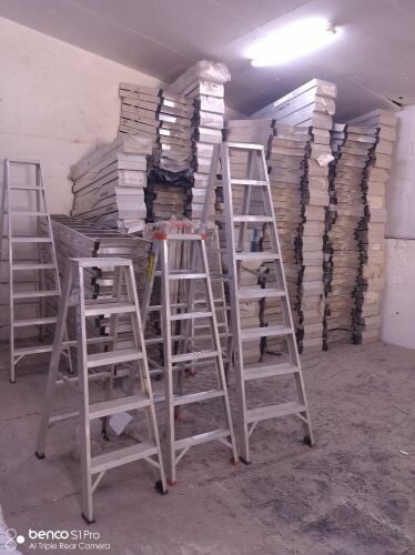 single ladder double