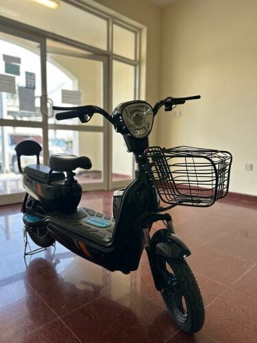 Electric Bike 