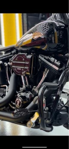 Harley softail cross bones 
