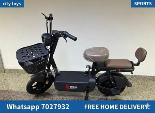 Electric scooter 
