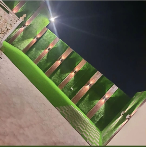 السجاد الأخضر والزهور والسجاد وال