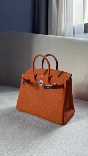 Hermes Birkin 25 Togo Orange