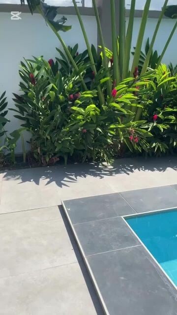مزارع عمل أجمل الحدائق ومتابعه شه
