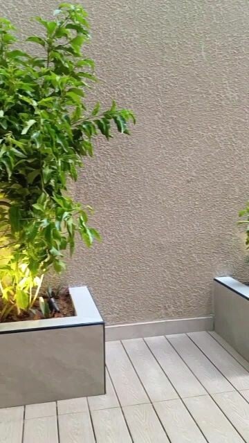 مهندس في تنفيذ أحدث الحدائق