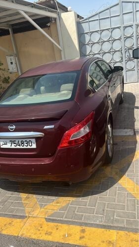 maxima for sell