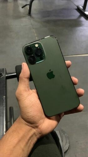 13 pro max