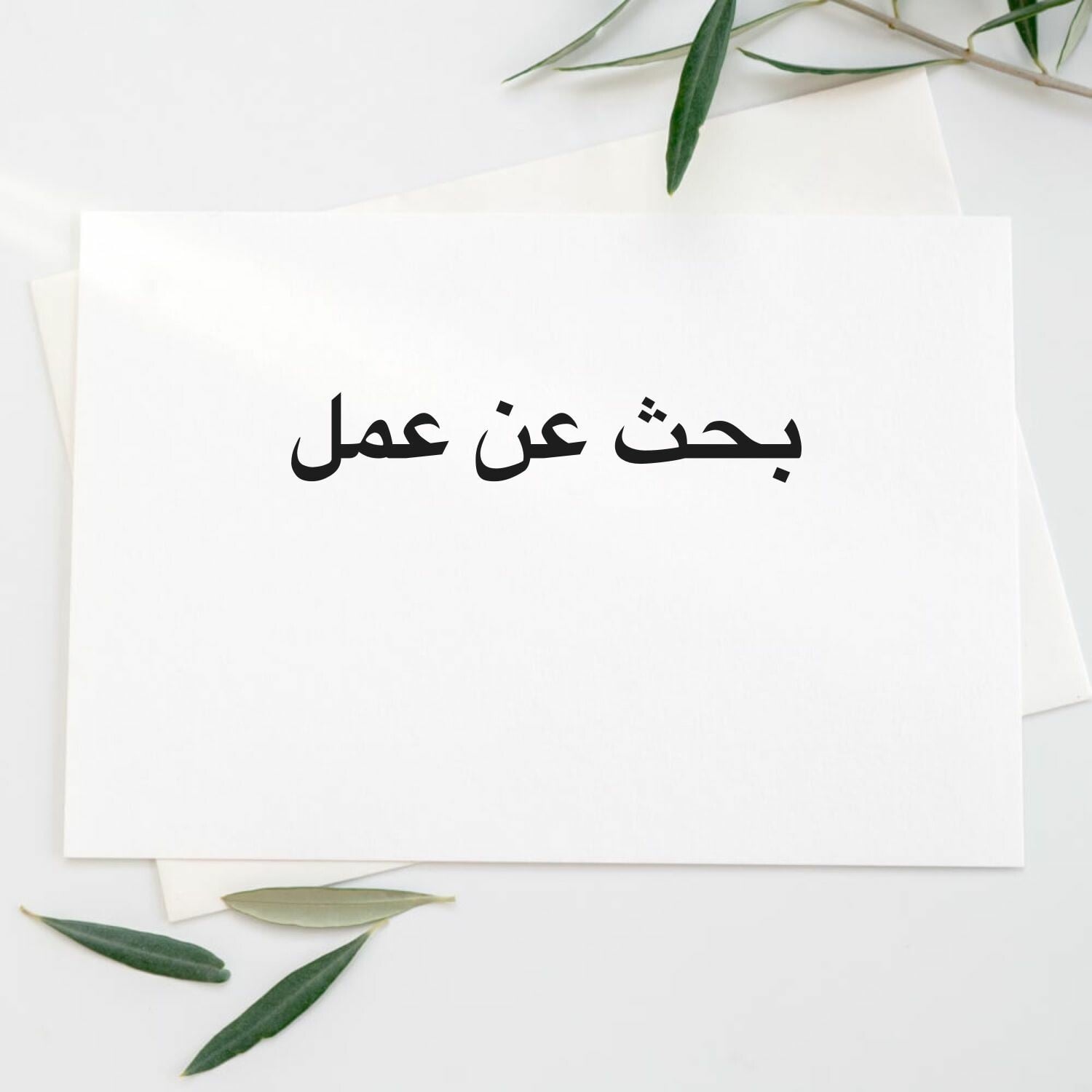 وادي مريخ ١
