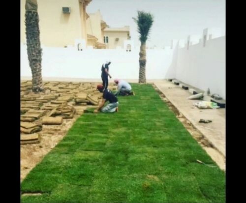 زراعه وديكور