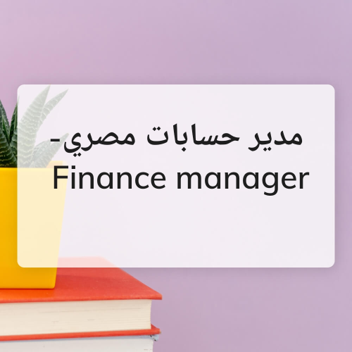 Accountant / Finance Manager