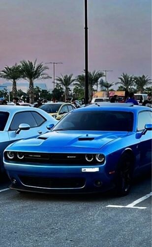 front bumper and hood dodge rt