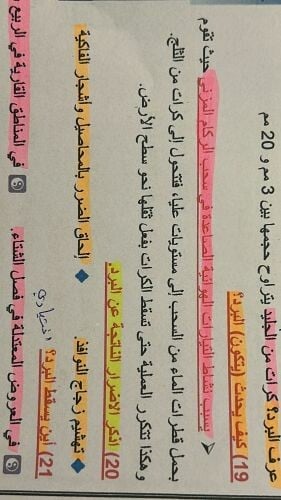 معلمة لغة عربية