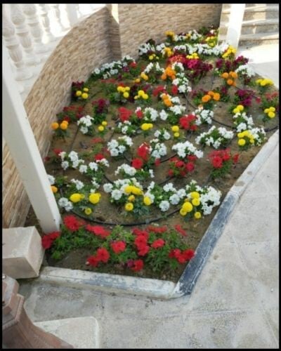 ترتيب وزراعه الأحواض
