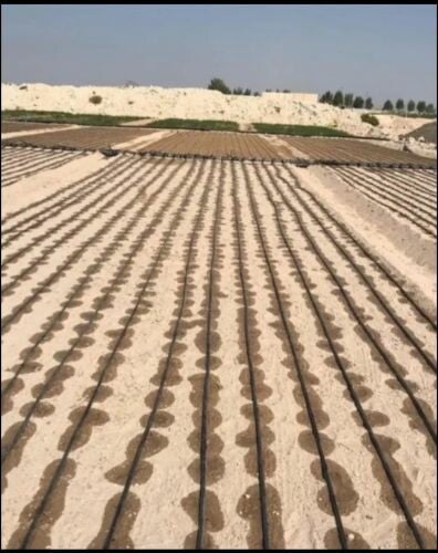 عمل شبكات الرأي