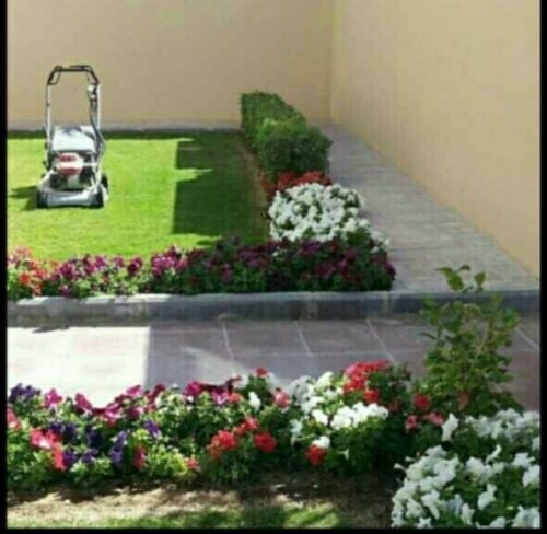 قص الحشيش متابعه شهريه للحدائق