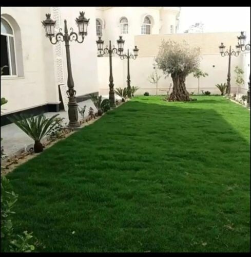 نقوم بأنشاء الحدائق من النجيل الأ