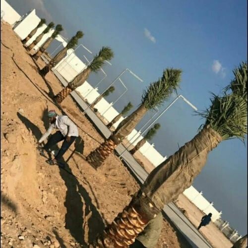 العنايه بالحديق