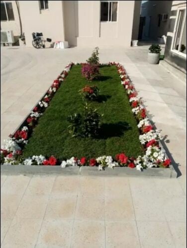 تنظيم حدائق
زراعه وترتيب نخل
عر