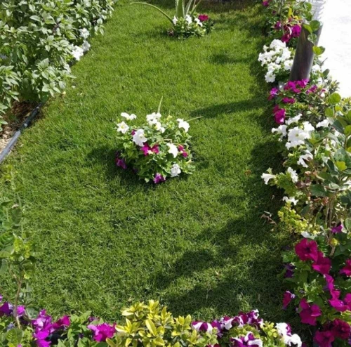 مزارع ومنسق حدائق.
