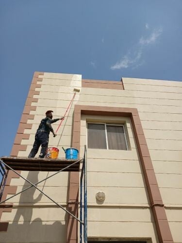 طلاء، لون، لون