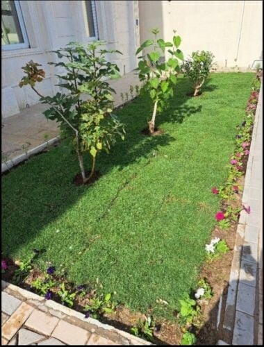نقوم بالعناية بالحدائق وزراعة الع
