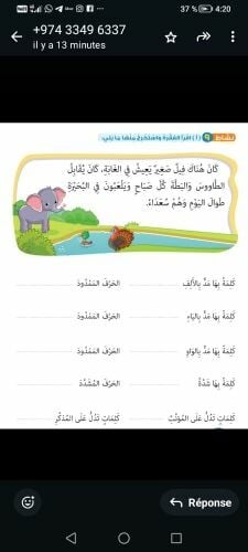 معلمة اختصاص لغة عربية