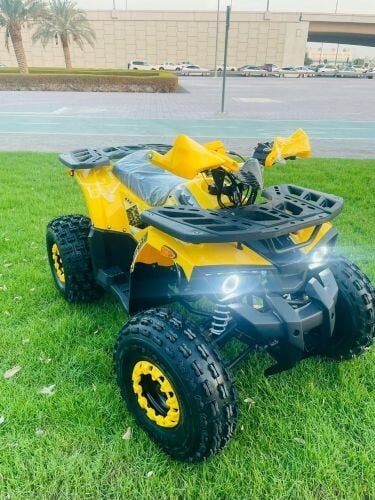 Petrol Budbuda 125Cc