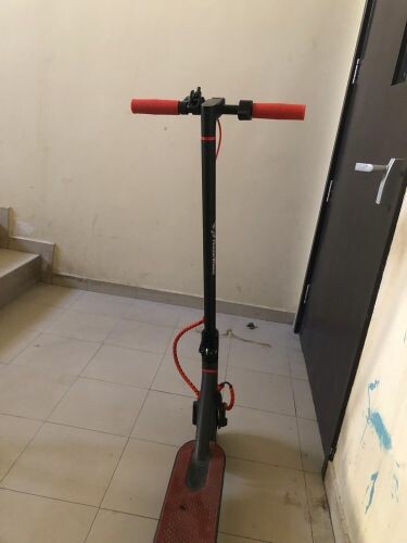 محمد 