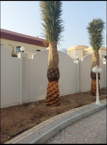 متخصصون فى تصميم وتنسيق الحدائق ا