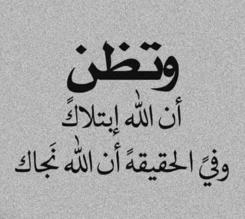 شركة مقاولات