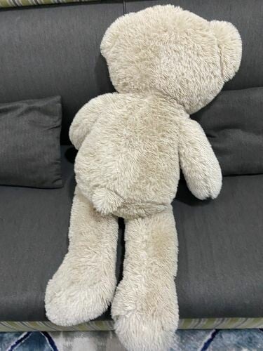 stuffed animal