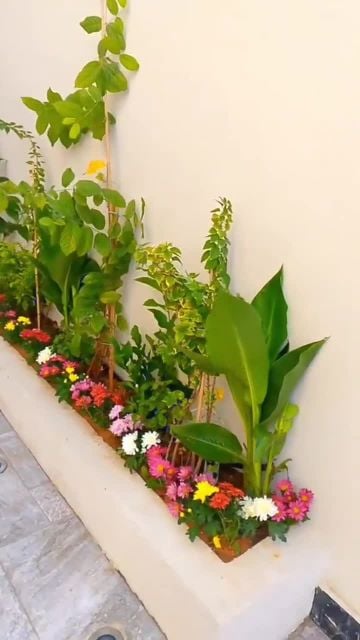 زراع عمل أجمل الحدائق ومتابعه
