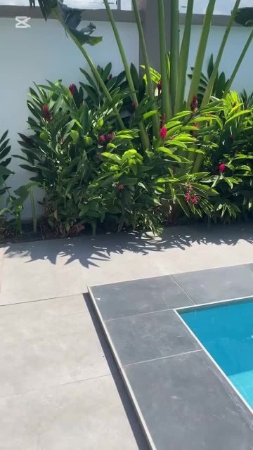 العنايه باالحدائق ومتابعه شهريه