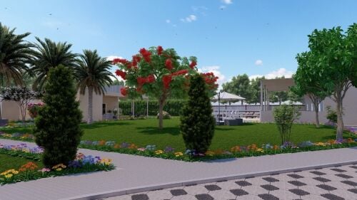 زراعه وديكورات