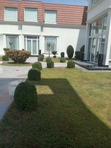 تنظيم الحدائق