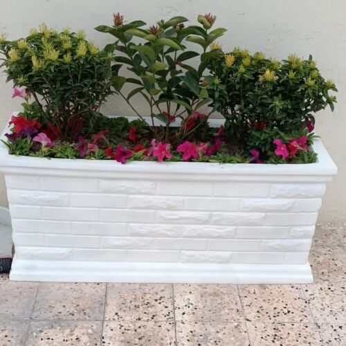 أحواض زراعة