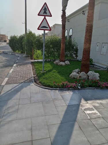 عمل زراعه وديكورات