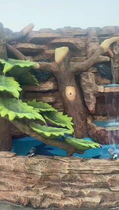 ديكور حدائق 