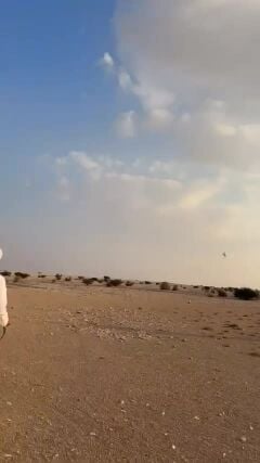 عبدالله 