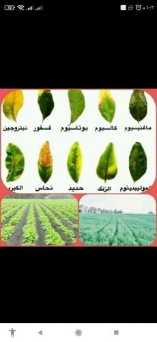خبراء تنسيق