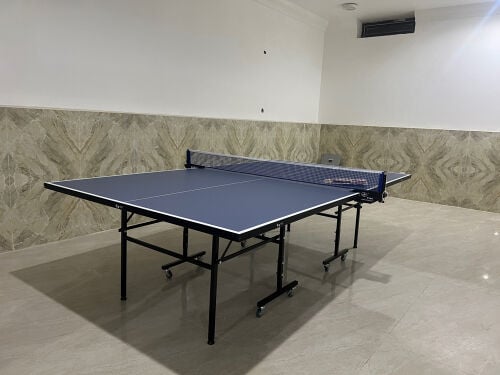 table tennis 