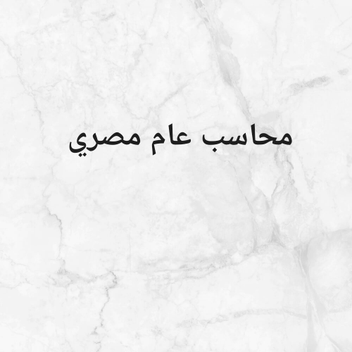 محاسب عام مصري