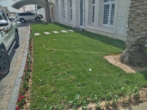 زراعه وديكور