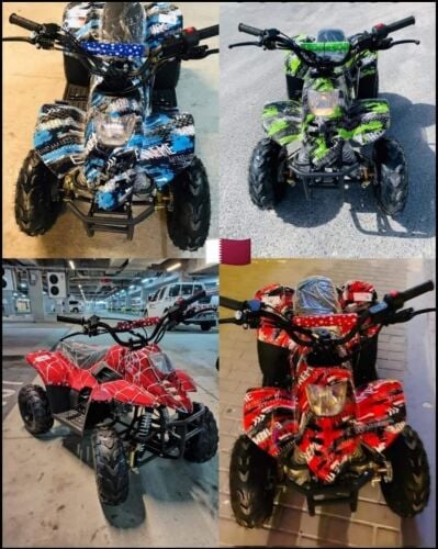 patrol budbuda 110cc