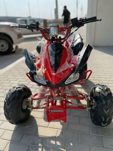 patrol budbuda 110cc