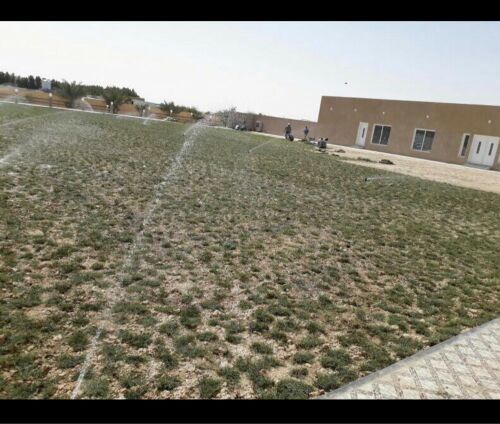 مزراع ومنسيق حدايق 