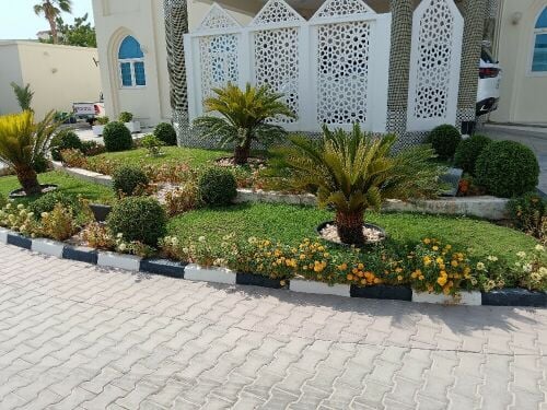 تنسيق وتجميل الحدائق (30514013)