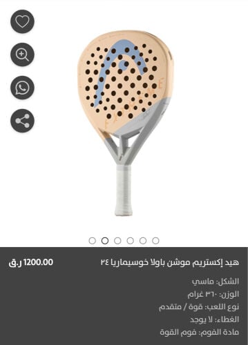 مضرب بادل
