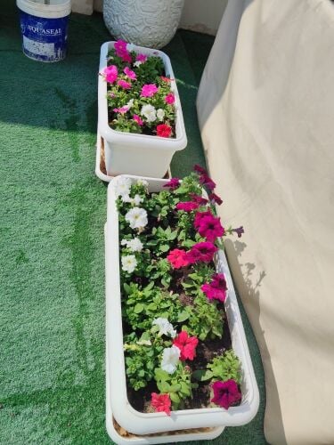 اصايص بلاستكيه