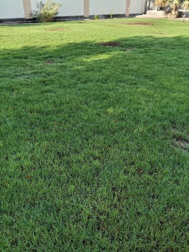 زراعه وديكور